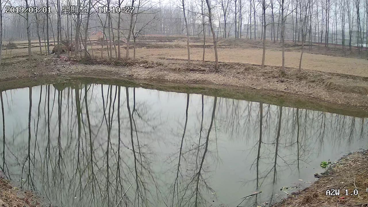 图像效果